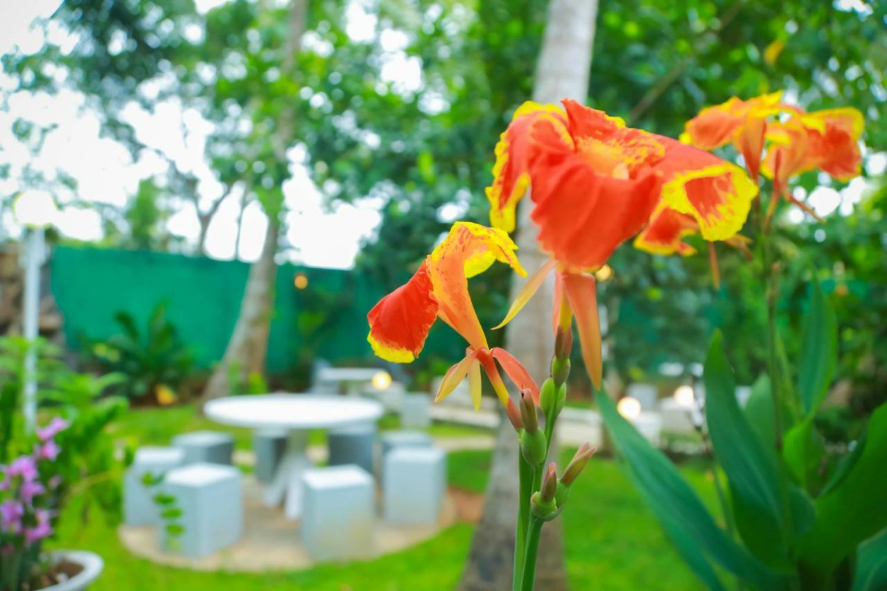Hotel Moonstone Anuradhapura Bagian luar foto